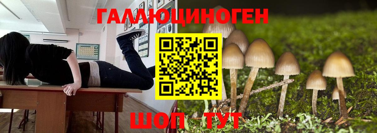 Галлюциногенные грибы мицелий Черногорск